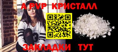 крисы Славгород