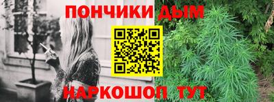 индика Абинск