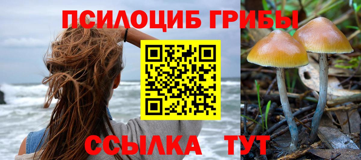 Галлюциногенные грибы GOLDEN TEACHER  Галлюциногенные грибы Psilocybine cubensis  Вход с VPN  Анжеро-Судженск 